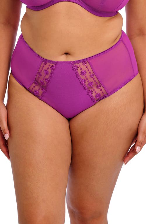 Elomi Matilda Full Figure Embellished Briefs In Hollyhock