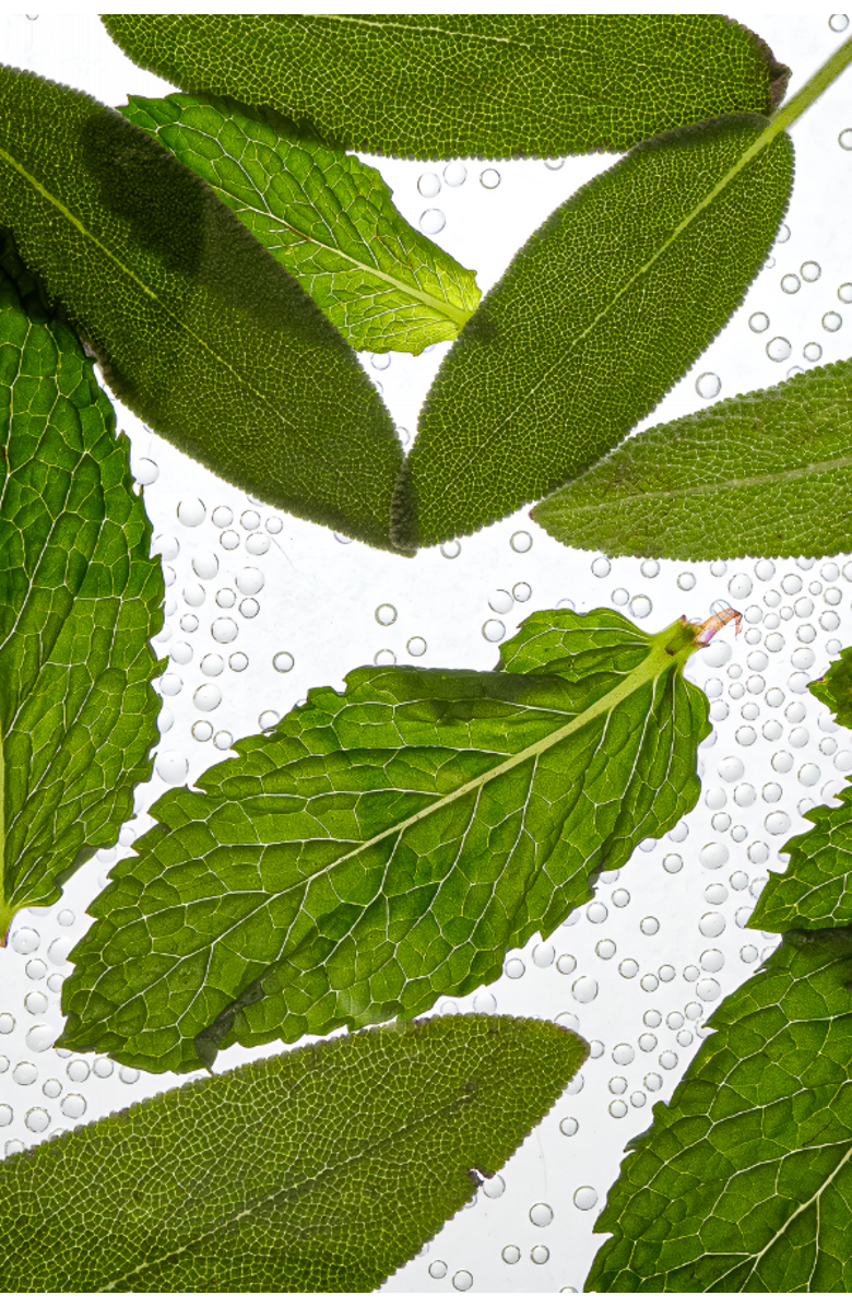 Esas NYC Minerale Hamam Organic Deo Body Spray - Salted Woods & Vetiver, Alternate, color, 3.4 Oz