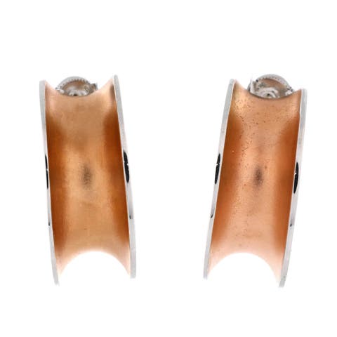 Reponse Earrings Sterling Silver and Vermeil Very Large