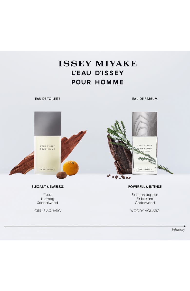 Issey Miyake L'Eau d'Issey Pour Homme Eau de Parfum, Alternate, color, 