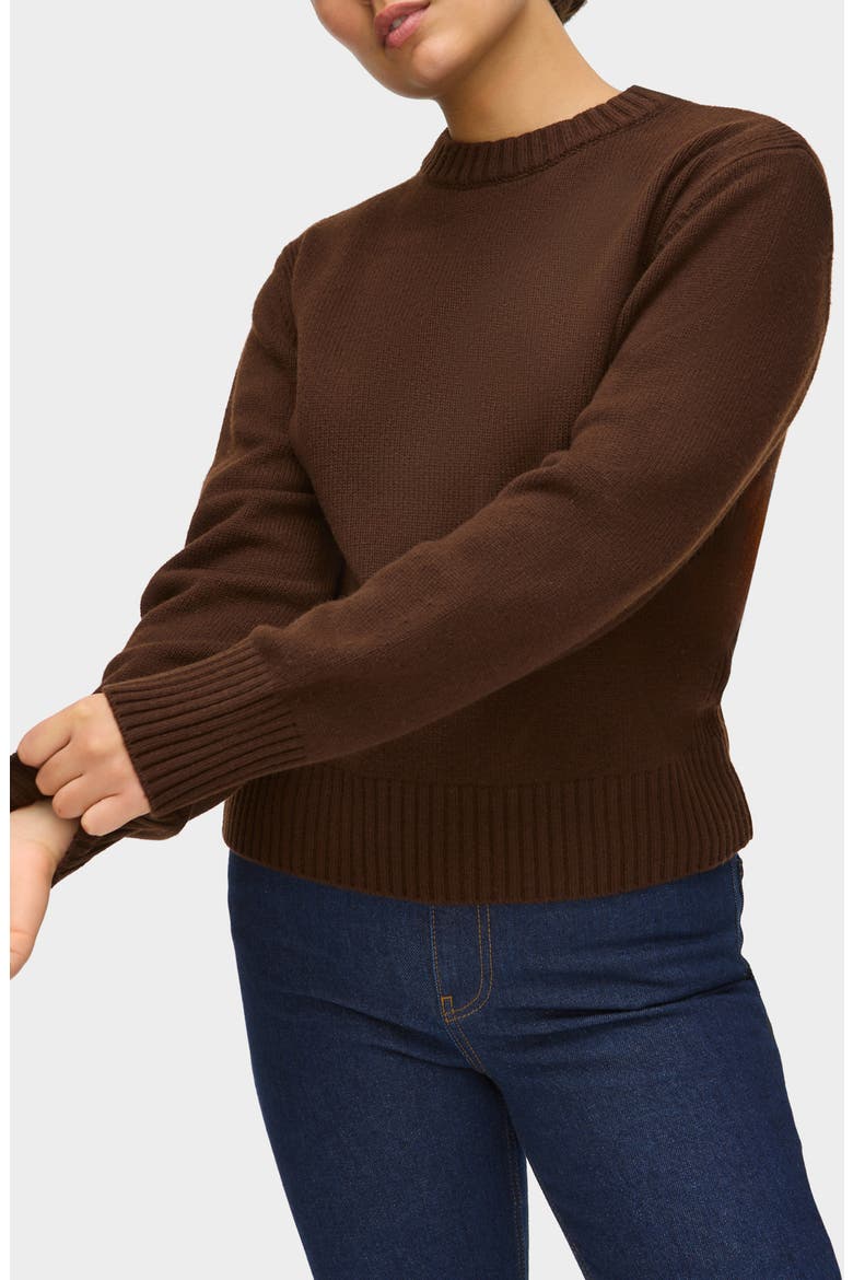 Dion Mock Neck Sweater, Main, color, CHOCOLATE