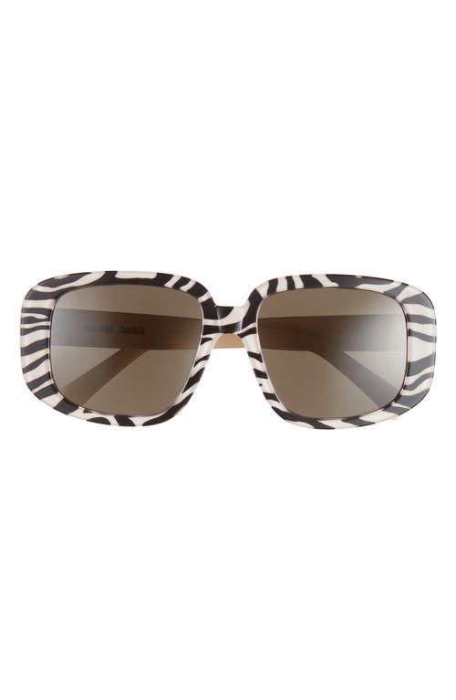 CELINE Bold 3 Dots 55mm Geometric Sunglasses in Animal /Brown 