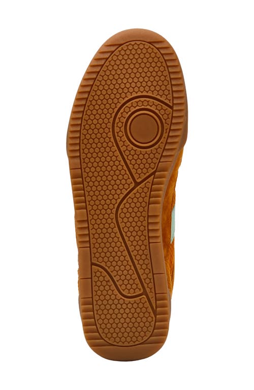 Steve Madden Verdict Mesh Sneaker In Orange