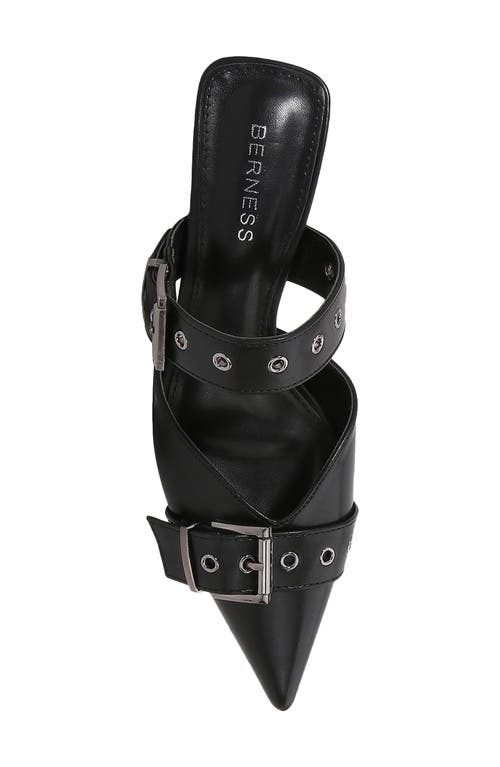Berness Archer Pointed Toe Kitten Heel Mule In Black
