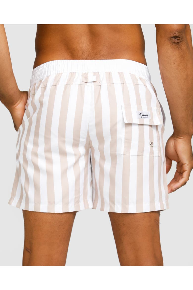 Ibiza Swim Short, Alternate, color, Pastel Brown & White Stripe