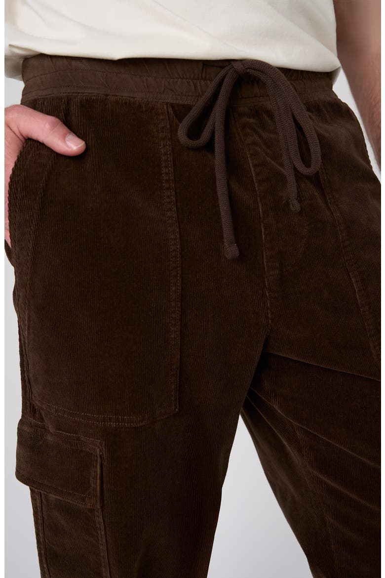 Corduroy Cargo Joggers, Alternate, color, BROWN