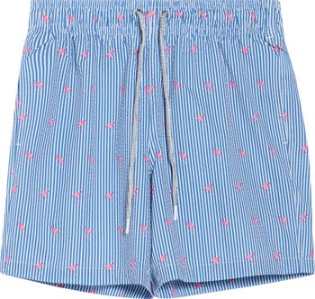 Flamingo Stripe Seersucker Swim Trunks
