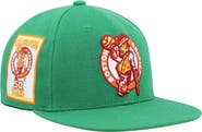 Mitchell & Ness Men's Mitchell & Ness Green Boston Celtics 50th Anniversary Like Mike Snapback Hat