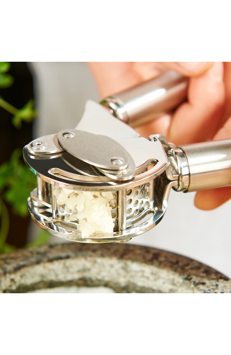 Rosle Stainless Steel Mincing Garlic / Ginger Press with Scraper, 9-inch, Alternate, color, Silver