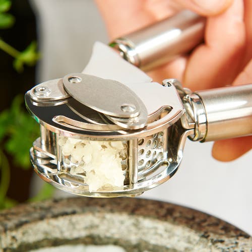 Rosle Stainless Steel Mincing Garlic / Ginger Press With Scraper, 9-inch In Metallic