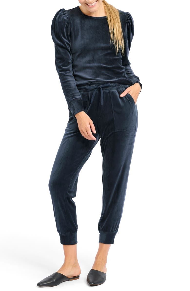 Splendid Ingrid Puff Sleeve Velour Top, Alternate, color,