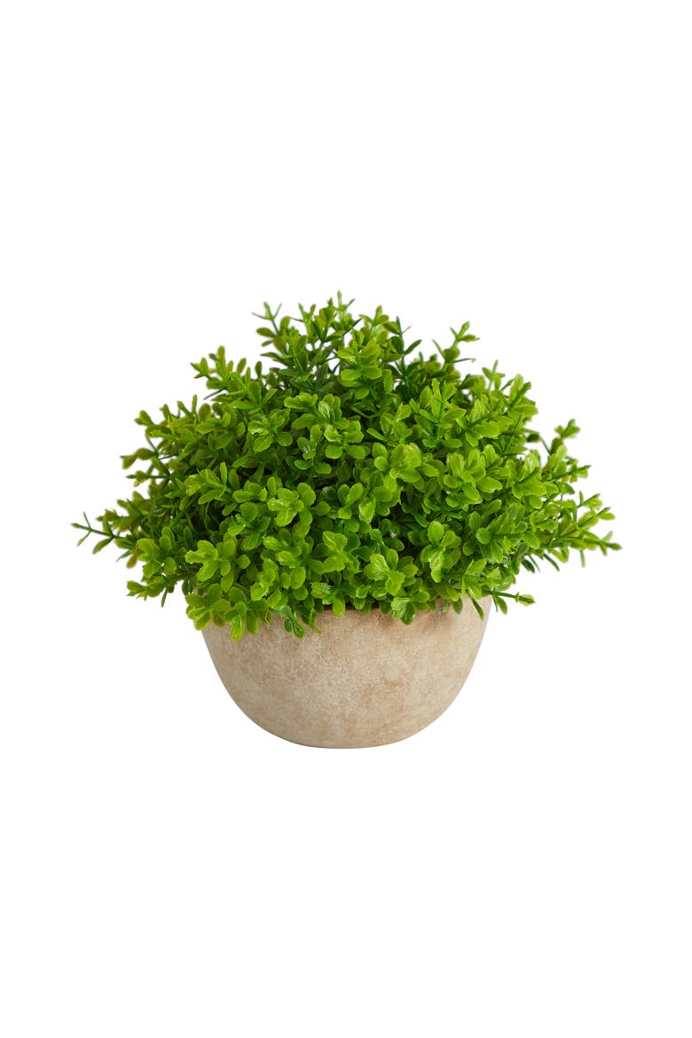 5-in Boxwood Artificial Plant in Decorative Planter, Main, color, Green