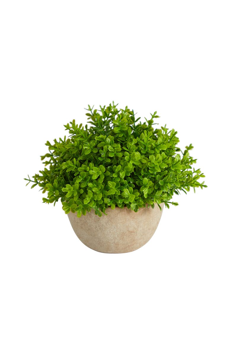 NEARLY NATURAL 5-in Boxwood Artificial Plant in Decorative Planter, Main, color, Green