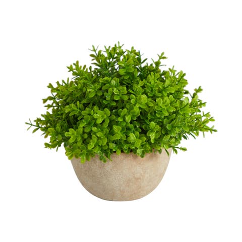 5-in Boxwood Artificial Plant in Decorative Planter