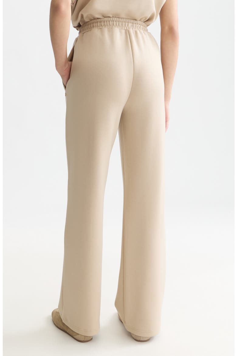 Tie Waist Wide Leg Sweatpants, Alternate, color, DOESKIN
