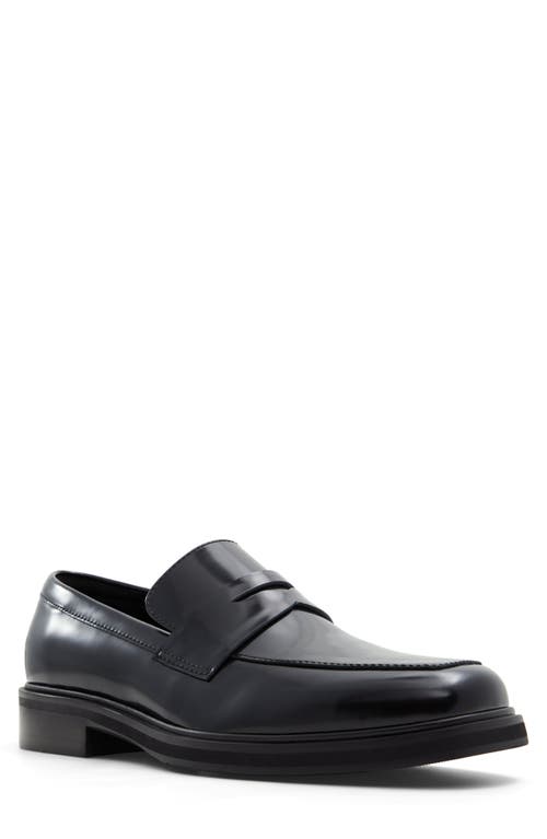 ALDO ALDO LUKA PENNY LOAFER