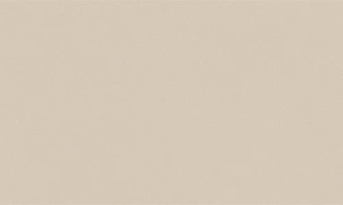Mansur Gavriel Mini Classic Saddle Crossbody Bag