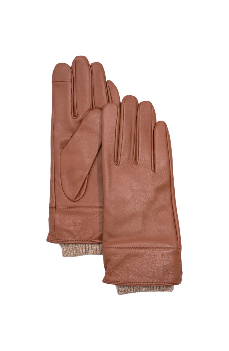 Echo Rib Cuff Leather Glove, Alternate, color, Cinnamon Bark