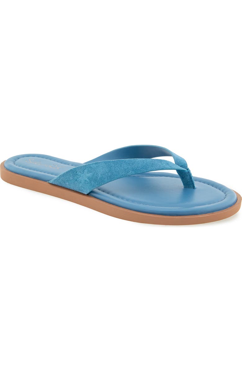 Splendid Ravi Flip Flop Sandal, Main, color, Indigo