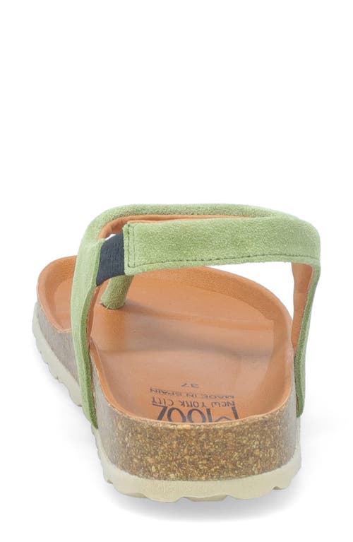 Miz Mooz Reagan Slingback Sandal In Aloe