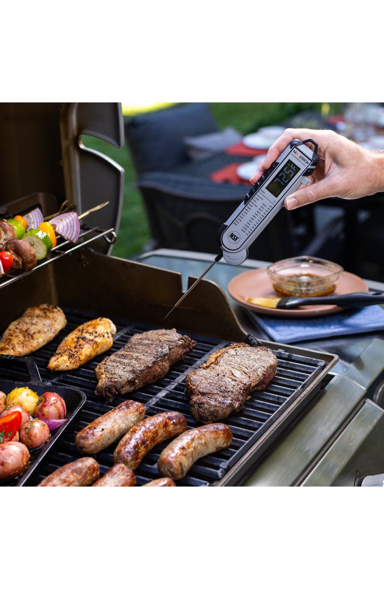 Maverick Pro-Temp Professional Thermocouple Thermometer, Alternate, color, Grey