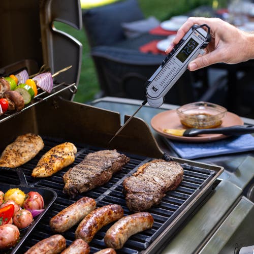 Maverick Pro-temp Professional Thermocouple Thermometer In Multi