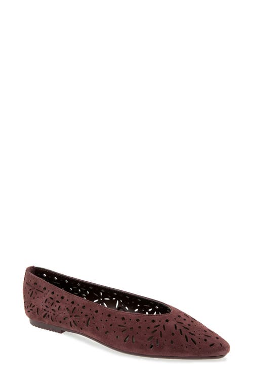 Splendid Latouche Perf Flat in Ash Wine at Nordstrom, Size 8.5