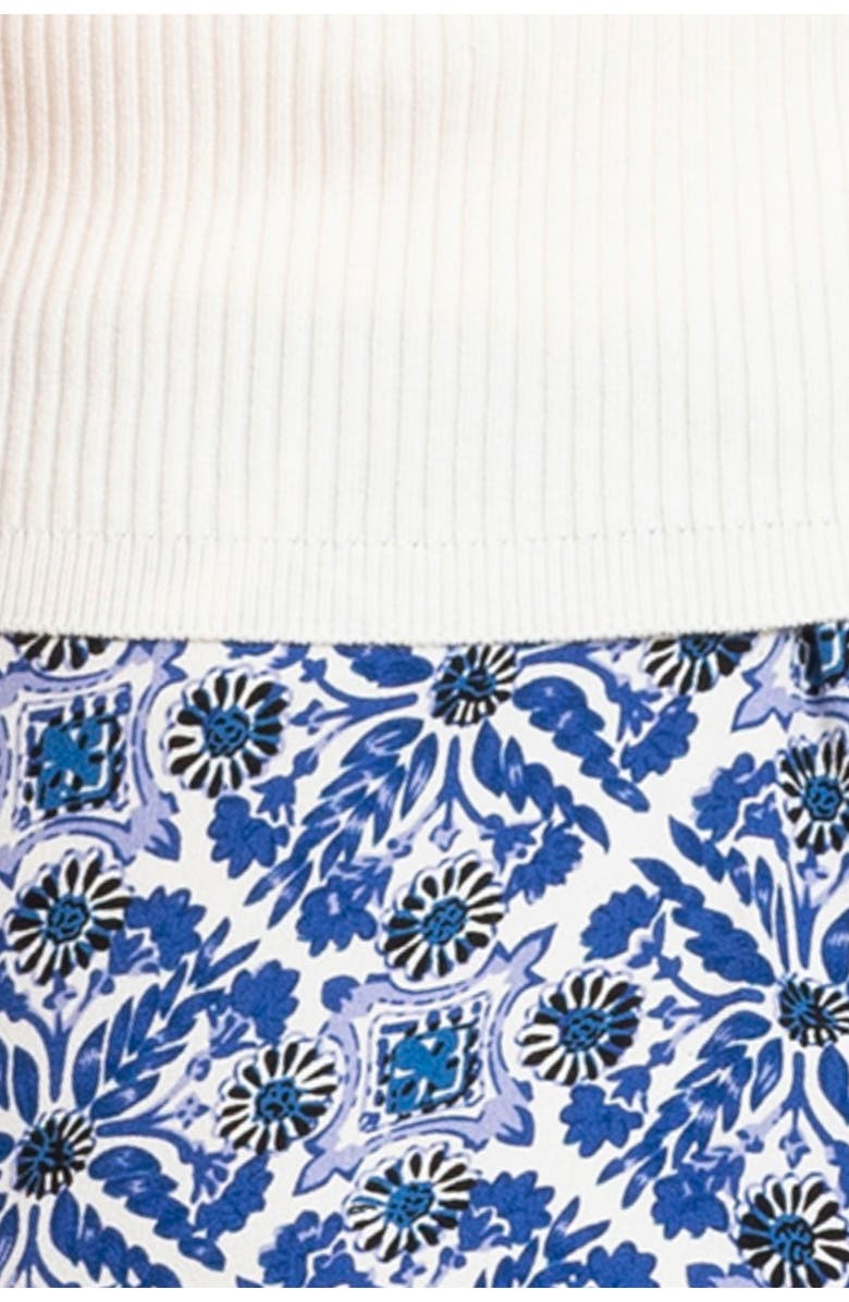 Seraphine Sleeveless Maternity/Nursing Dress, Alternate, color, Blue/ White