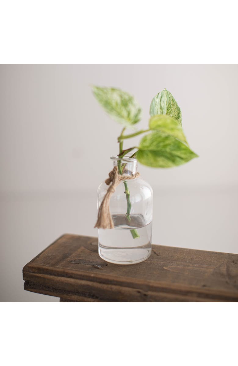 Foreside Home and Garden Natural Glass & Jute Bud Vase, Alternate, color, Clear