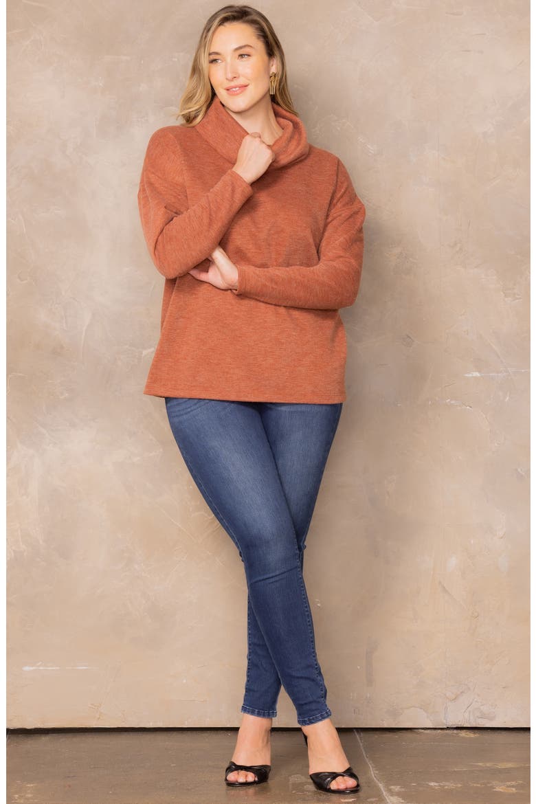 Astrid Turtleneck Sweater, Alternate, color, CINNAMON