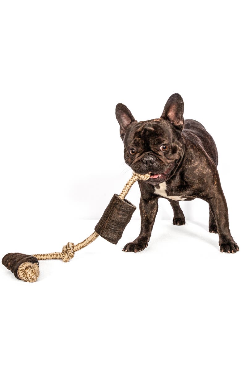 MOSSY OAK Water Buffalo Horn & Tug Dog Chew - 24" Knotted Natural Cotton Rope, Alternate, color, Beige