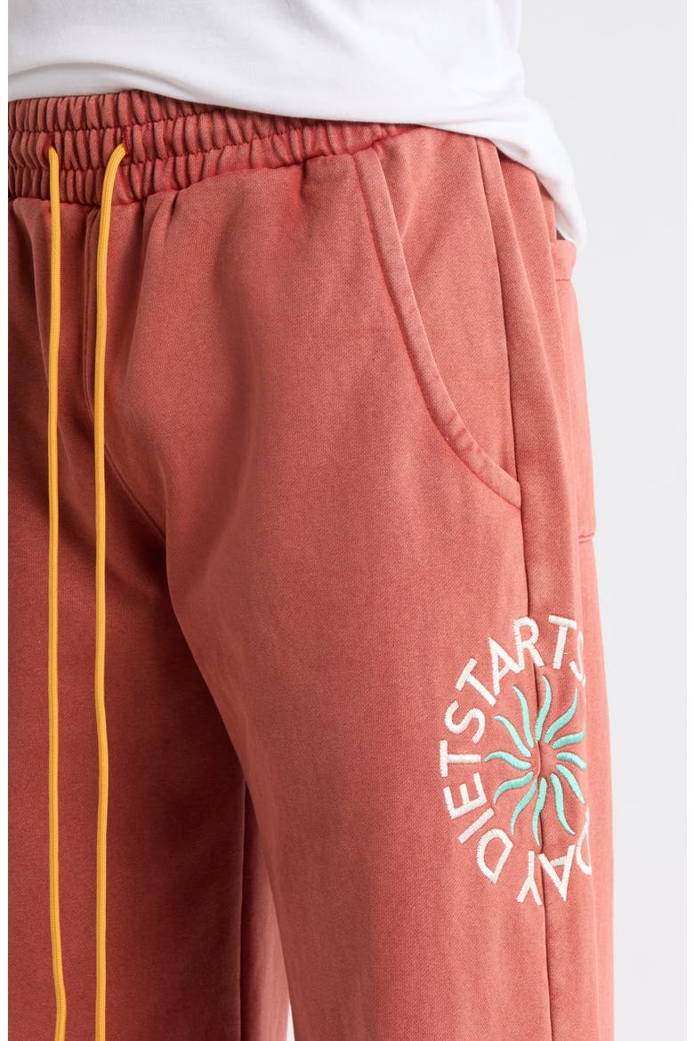 Sol Embroidered Wide Leg Sweatpants, Alternate, color, RED