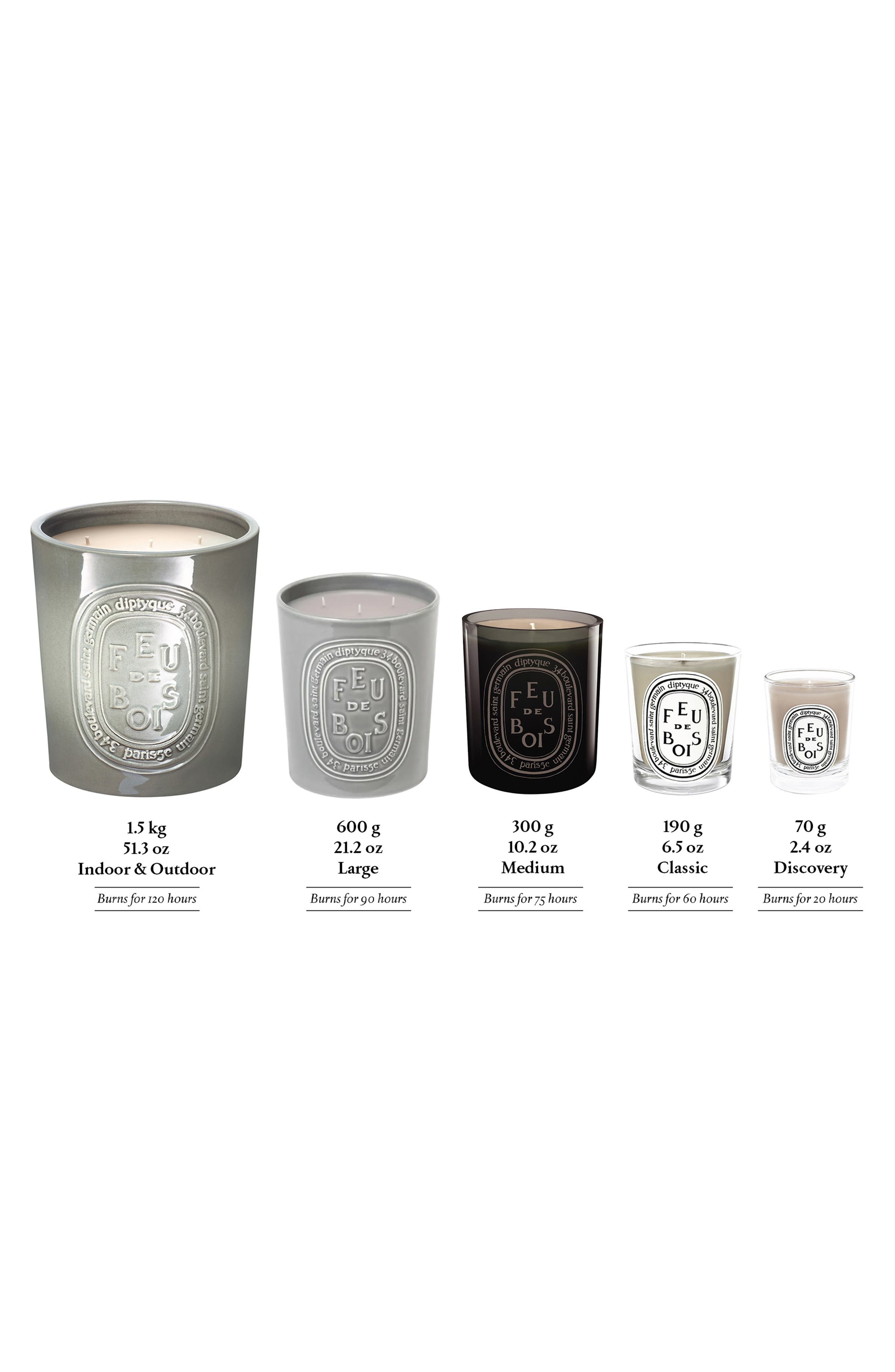 Diptyque Feu de Bois Extralarge Scented Candle - Thumbnail 4