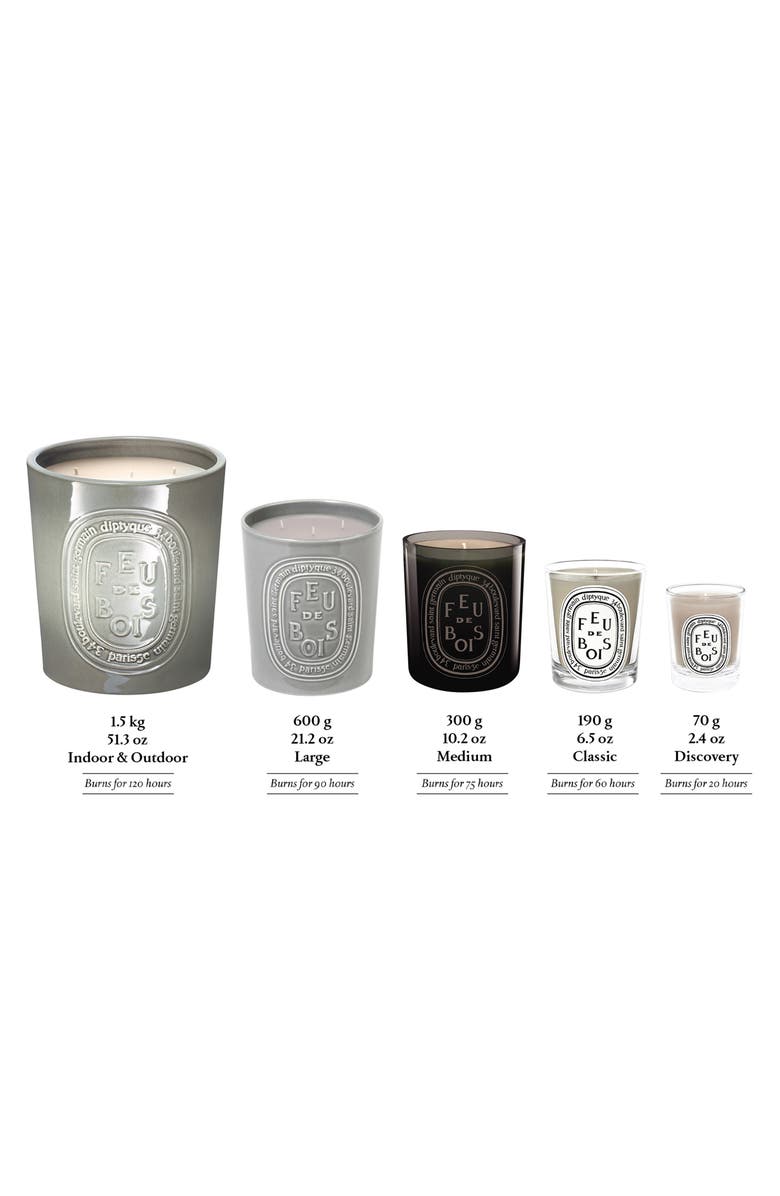 Diptyque Feu de Bois (Fire Wood) Extralarge Scented Candle, Alternate, color, Grey Vessel