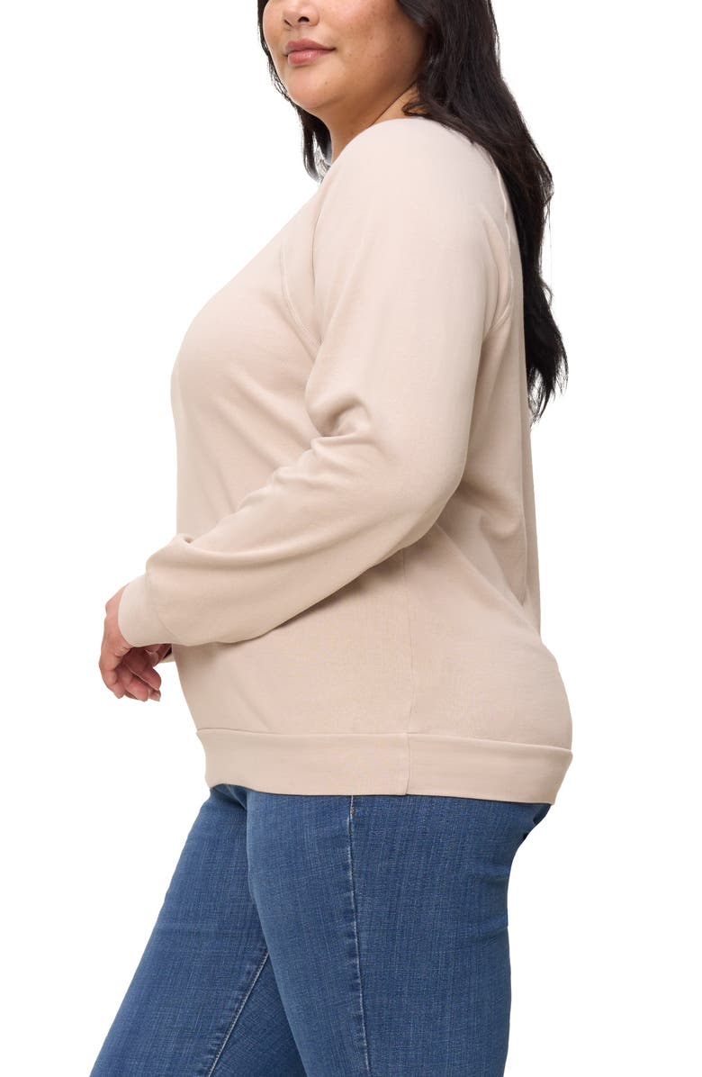 The Standard Stitch The Raglan Sweatshirt, Alternate, color, Oat