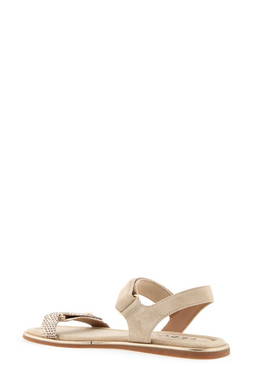 AEROSOLES AEROSOLES BRUNA SANDAL 