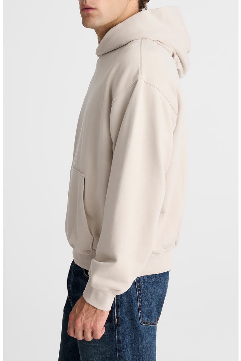 Woodland Brushed Terry Hoodie, Alternate, color, BLEACHED CANVAS