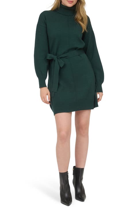 Long Sleeve Turtleneck Sweater Minidress