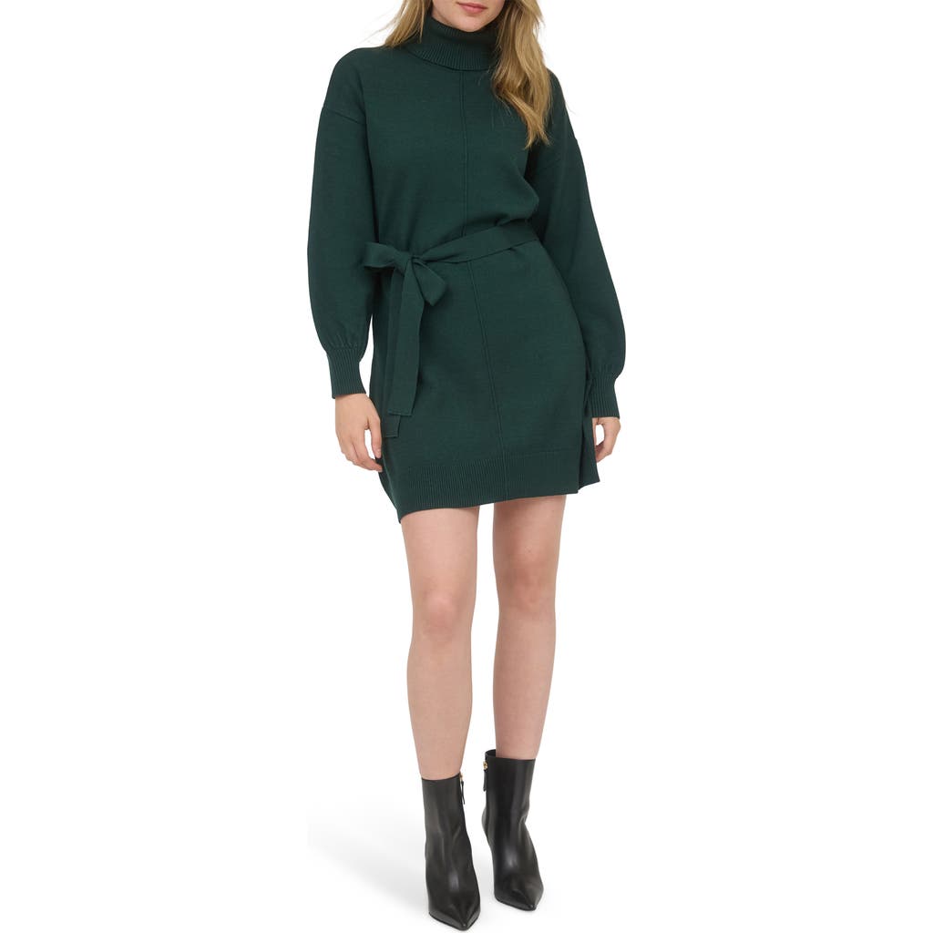 August Sky Long Sleeve Turtleneck Sweater Minidress In Green