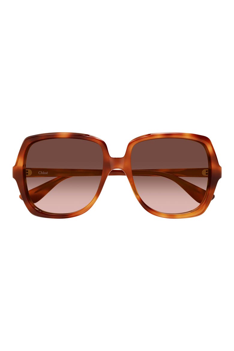 59mm Square Gradient Sunglasses, Main, color, HAVANA