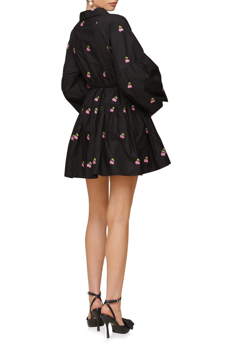 Embroidered Tie Waist Long Sleeve Minidress, Alternate, color, BLACK