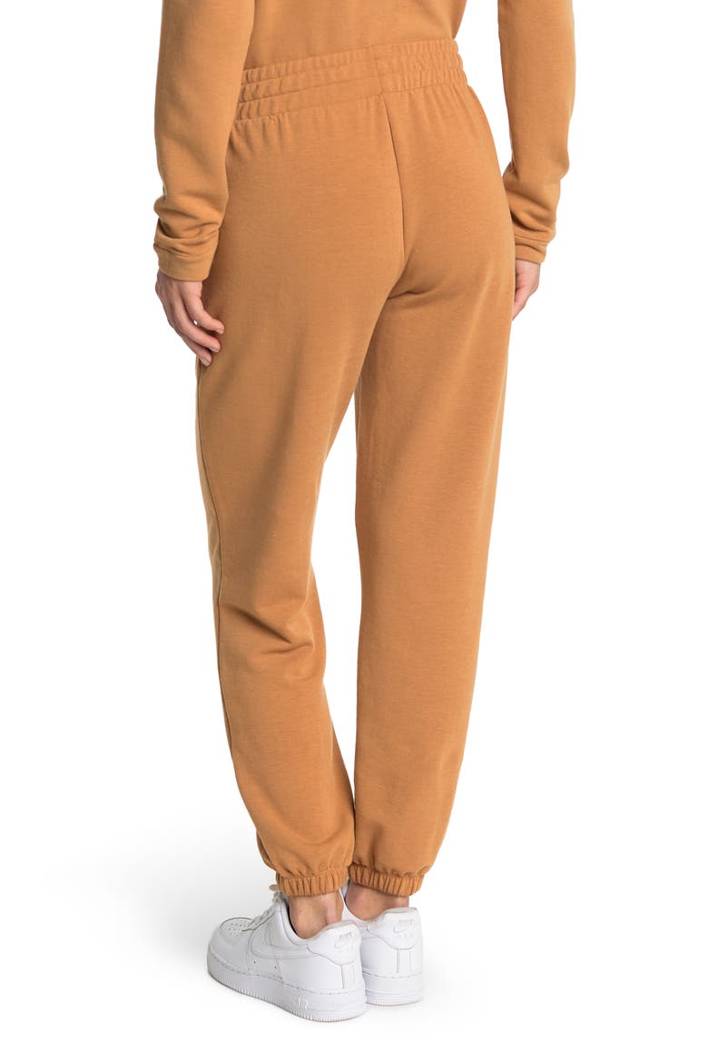 Cozy Solid Knit Jogger, Alternate, color, TAN SUGAR