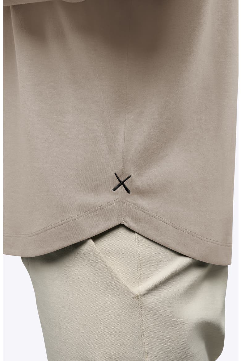 AO Curved Hem Long Sleeve Henley, Alternate, color, PURE CASHMERE