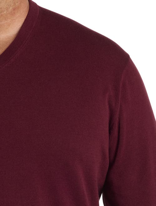 Harbor Bay By Dxl V-neck Pullover In Zinfandel
