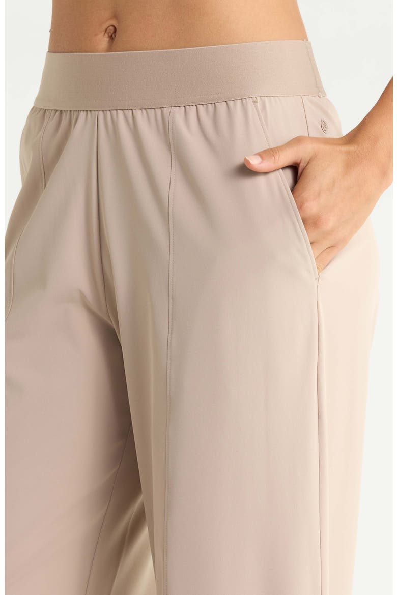 Atlas Elastic Waist Wide Leg Pants, Alternate, color, TAN THREAD