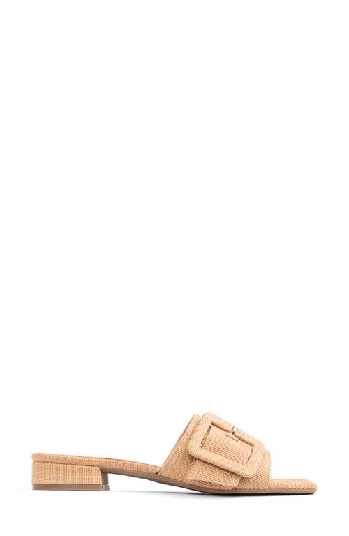 Patricia Green Bali Slide Sandal In Natural Raffia