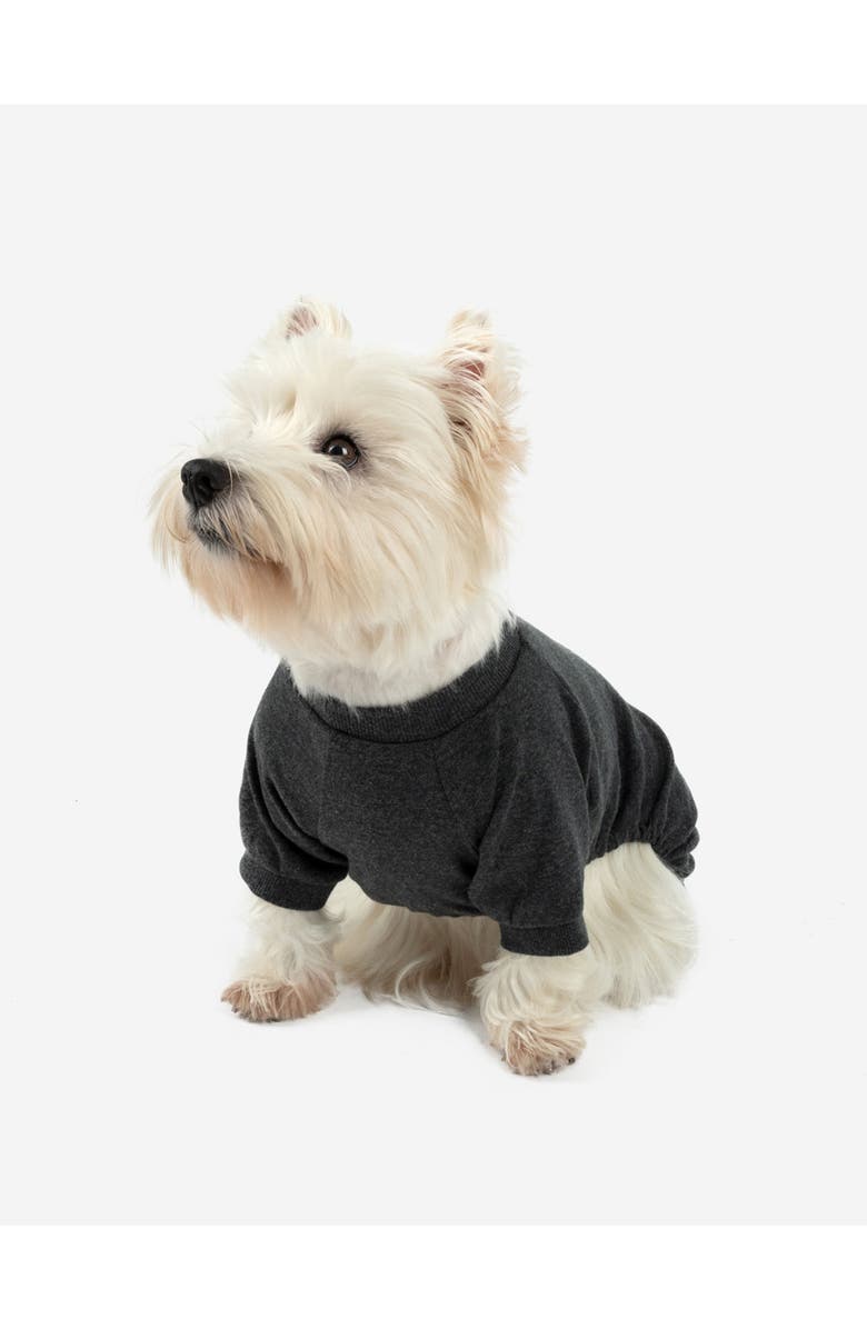 Leveret Dog Cotton Solid Matching Family Pajamas, Main, color, Dark Gray