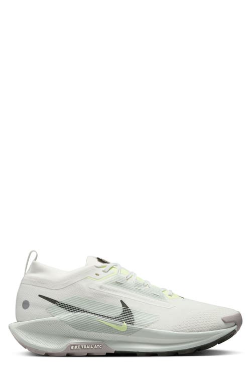 Nike Pegasus Trail 5 Rubber-trimmed Gore-tex Running Sneakers In White