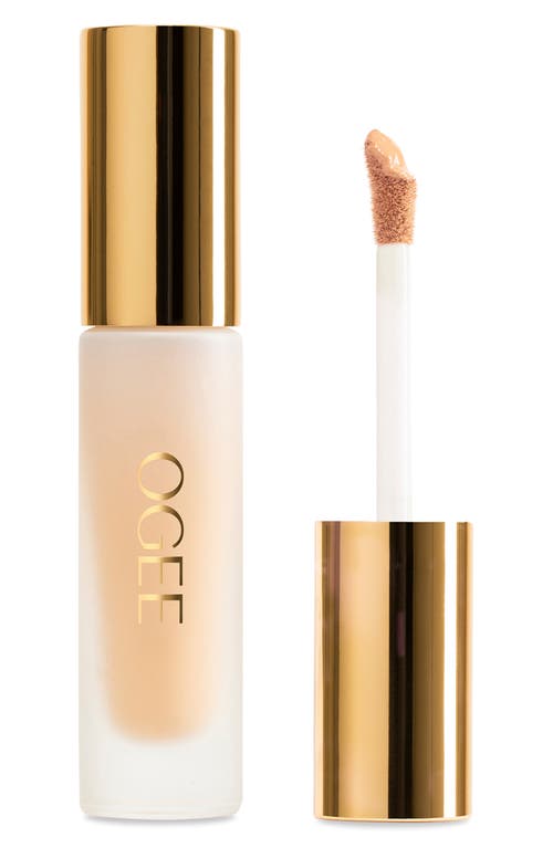 Ogee Complexion Perfecting Concealer In Brown