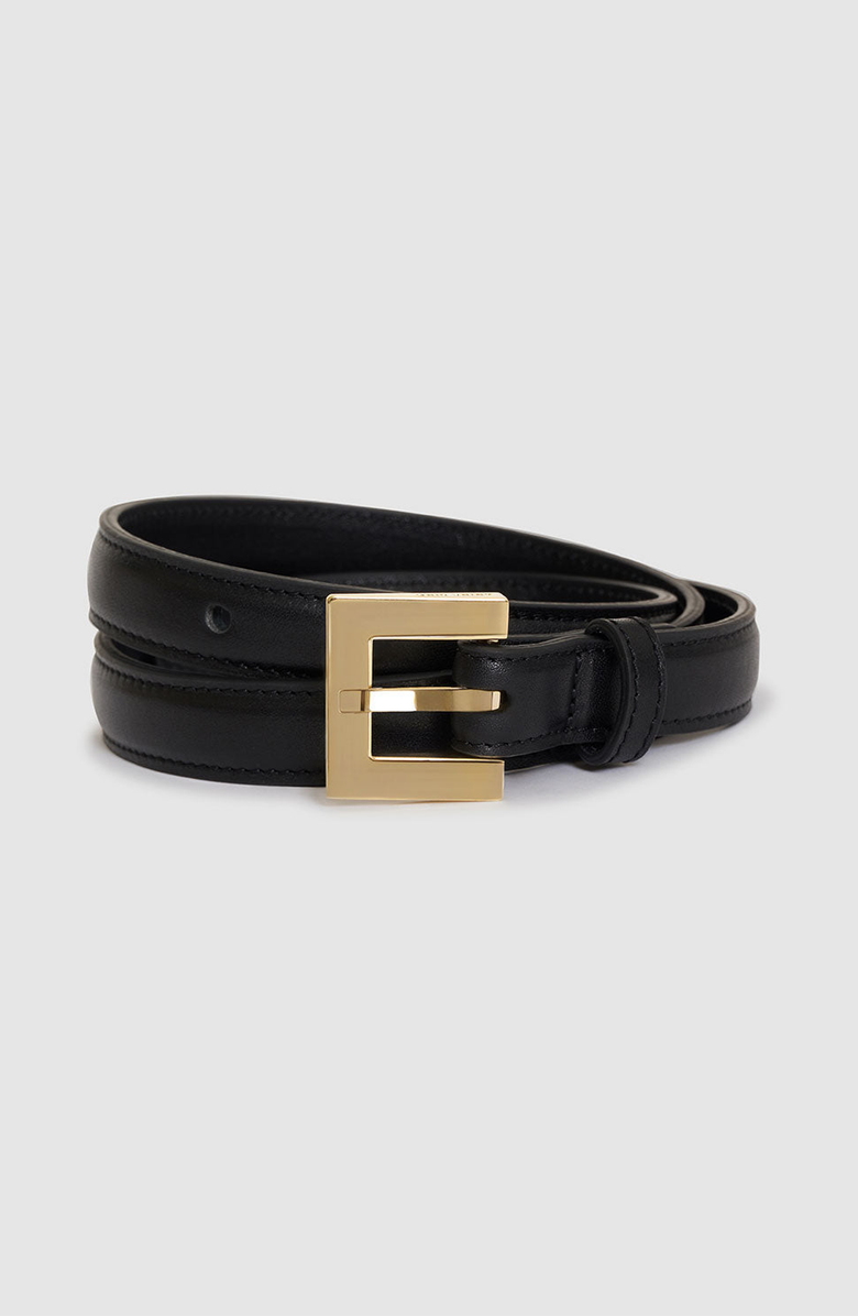 ANINE BING Nicola Belt, Alternate, color, Black With Gold